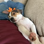 Dean Atkins - Facebook
