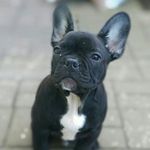 Dean - @dean_atkins - Instagram