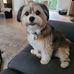 Dean Auger - Facebook