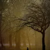 deanauriah - @deanauriah - TikTok