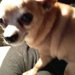 Dean Baca - @dean.baca.7 - Instagram