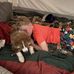 Dean Beatty - Facebook