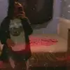 deanabadger - @deanabadger - TikTok