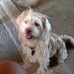 Dean Bahe - Facebook