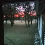 Dean Baird - @deanbaird01 - Instagram