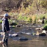 Dean Baird - @dean.baird.3 - Instagram