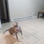 Dean Baldwin - @deanbaldwin764 - Instagram