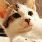 dean baldwin - @deanjb9 - Instagram