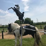 Dean Barham - @newmarket_stepping_cobs - Instagram