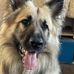 Dean Beamand - Facebook