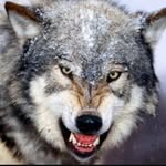 Dean Benton - @deanbenton3370 - Instagram