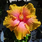 Dean Bergeron - @deanbergeron - Instagram