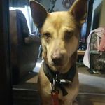 Dean Ryder Bittner - @deanryder17 - Instagram