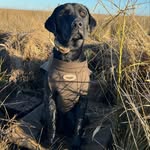 Dean Blackburn - @hobuckduk50 - Instagram