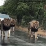 Dean Blair - @dean.blair.39 - Instagram
