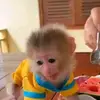 Deanne Bland - @deanne.bland - TikTok