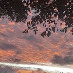 Dean Boyce - @dean_w.b - Instagram