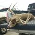 Dean Bright - Facebook