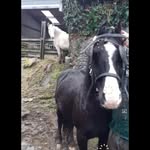 dean Casey - @deancasey39 - Instagram