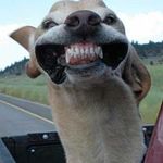 Dean Cline - @dean.cline.52 - Instagram