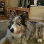 Dean Coates - @dean.coates.92 - Instagram