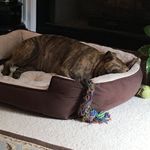 Dean Combs - @deancombs - Instagram