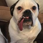 Dean Connell - @dean.connell.399 - Instagram