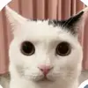 Dean Connell - @mazyouok - TikTok