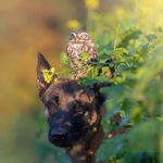Dean Crandall - @deancrandall42 - Instagram