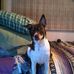 Dean Crandall - Facebook