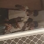 Dean Crofts - @deancrofts1 - Instagram