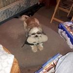 Dean Cronkite - @deancronkite - Instagram