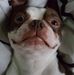 Dean Croucher - Facebook