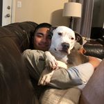 Dean Cruz - @deancruz14 - Instagram