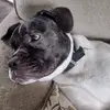 dean_scullyy - @dean_scullyy - TikTok