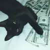 Dean - @dean.currann - TikTok