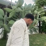@deancurrann1 - Instagram