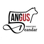 Productores Deandar - @productores_deandar - Instagram