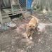 Dean Darby - Facebook