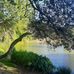 Dean Davids - Facebook