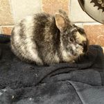 deandeboer - @deandeboer63 - Instagram