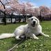 Dean Dellinger - Facebook