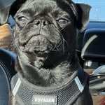 Dean Dement - @deanskis619 - Instagram