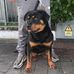 Dean Dempsey - Facebook