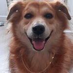 Dean Dempsey - @dempseydean - Instagram