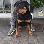 Dean Dempsey - @deandempsey2612 - Instagram