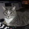 dianedenault3 - @dianedenault3 - TikTok