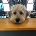 Dean Denton - Facebook