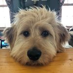 Dean Denton - @denton.dean - Instagram