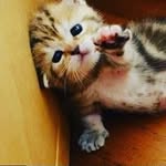 Doubel-M - @dean_dirky - Instagram